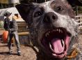 Rykte: Ubisoft Toronto jobber med Far Cry 6