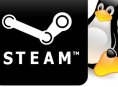 Steam til Linux tar form